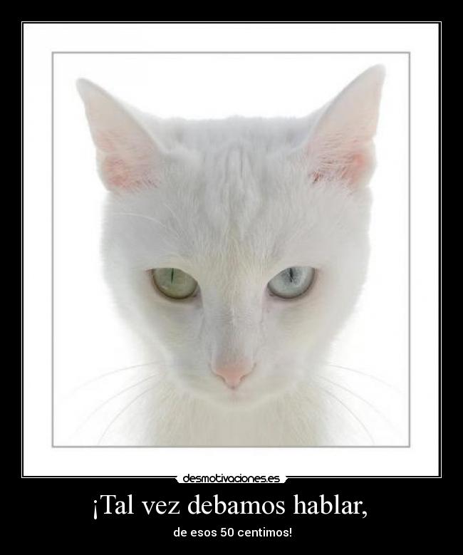 ¡Tal vez debamos hablar,  - 