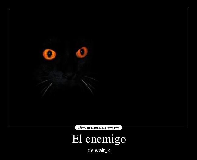 carteles enemigo enemigo walt_k llegado para quedarse desmotivaciones