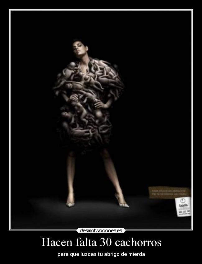 Hacen falta 30 cachorros -