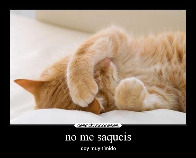 no me saqueis - soy muy tímido