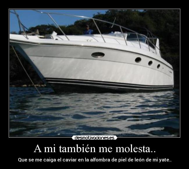 A mi también me molesta.. - Que se me caiga el caviar en la alfombra de piel de león de mi yate..