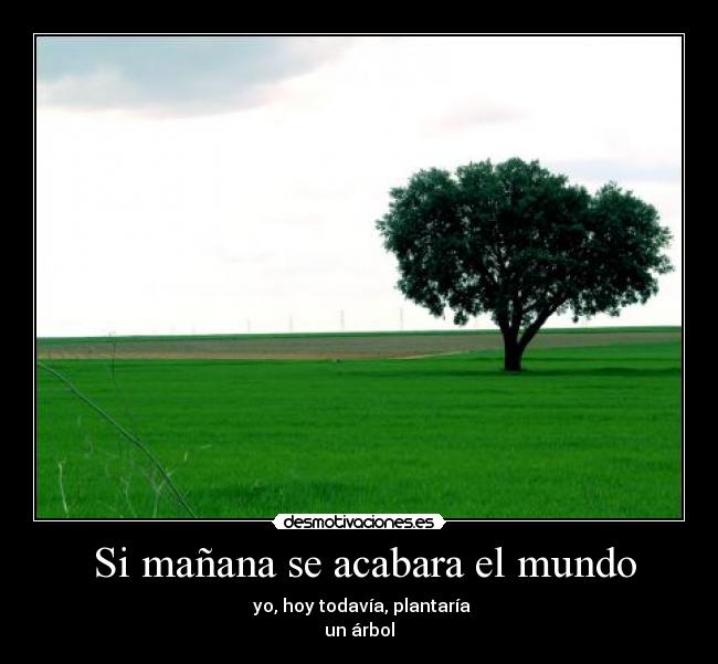 Si mañana se acabara el mundo -
