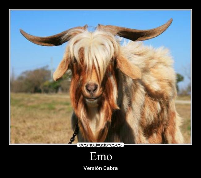 Emo - Versión Cabra