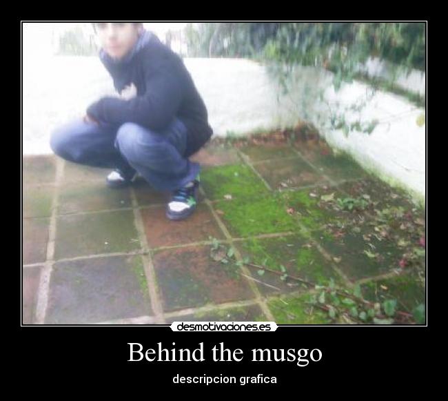Behind the musgo - descripcion grafica