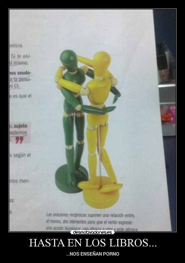 HASTA EN LOS LIBROS... - ...NOS ENSEÑAN PORNO