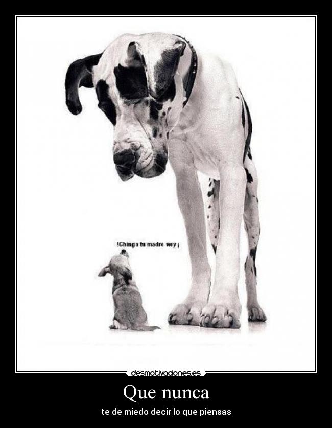 Que nunca -