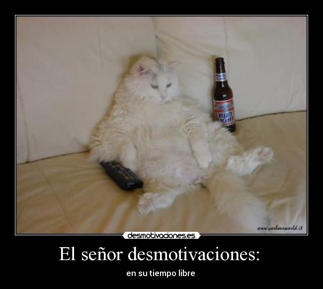 El señor desmotivaciones:  - 