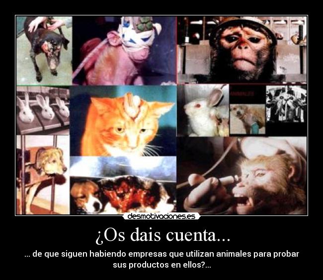 ¿Os dais cuenta... - 