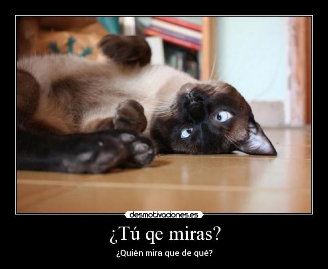 carteles gatosmiras que quien desmotivaciones