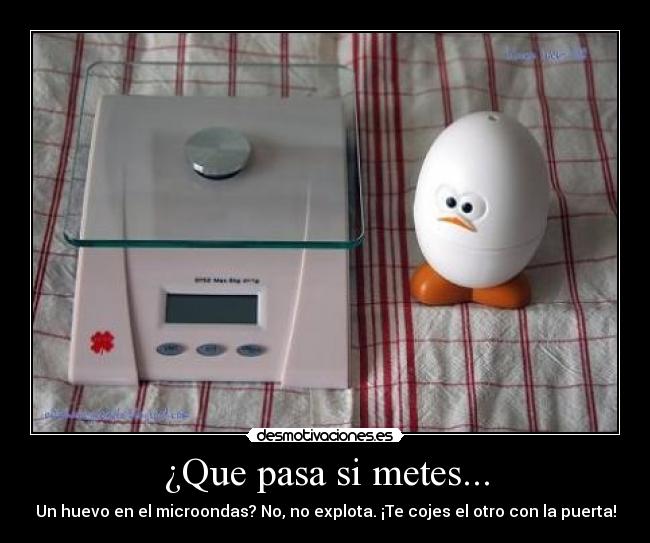 ¿Que pasa si metes... -