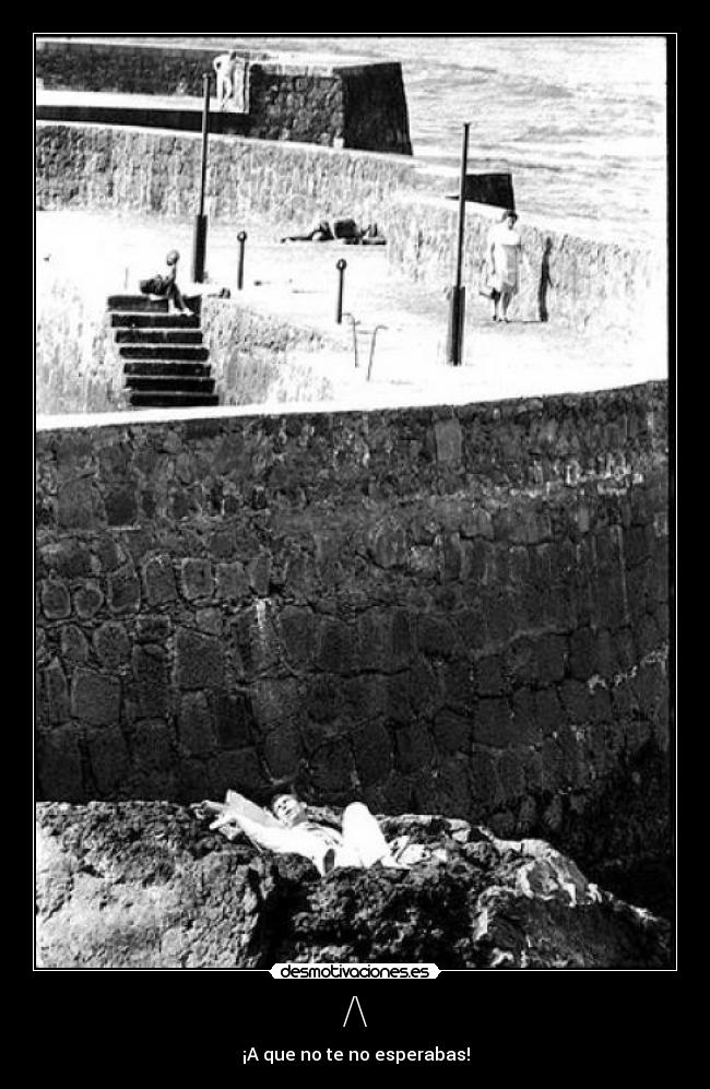 /\ - ¡A que no te no esperabas!