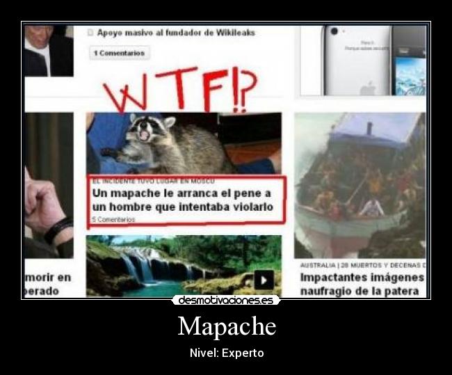 Mapache -