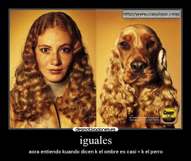 iguales - 