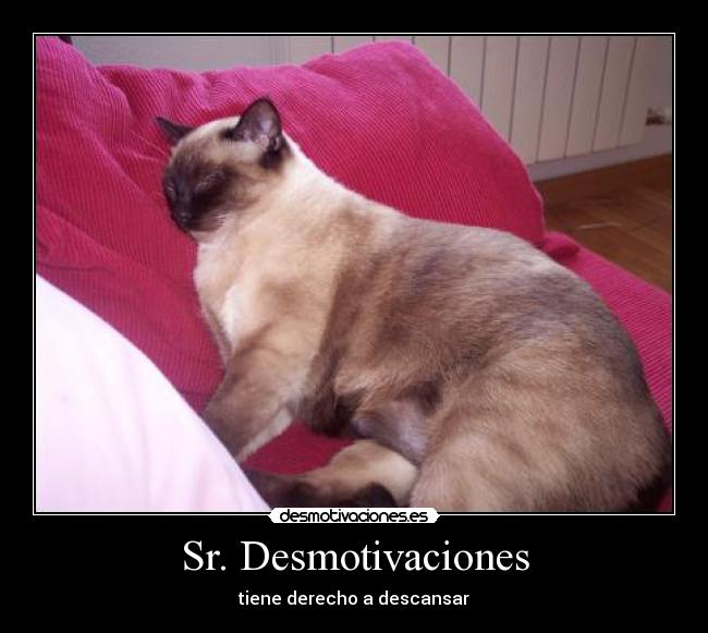 Sr. Desmotivaciones -