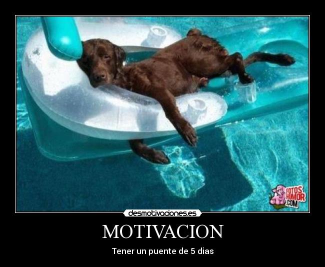 MOTIVACION - 