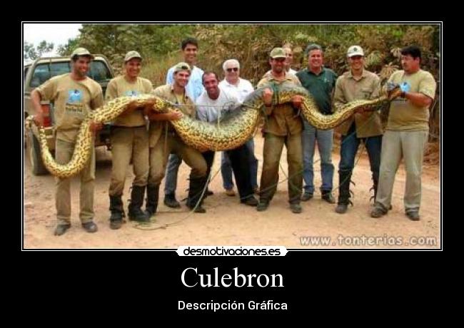 Culebron - 