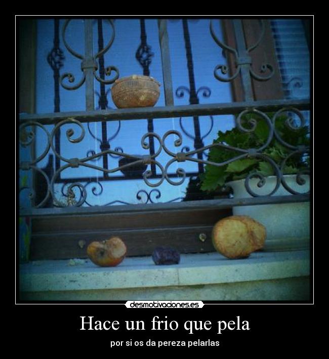 carteles frio que pela manzanas desmotivaciones