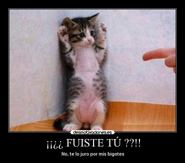 ¡¡¿¿ FUISTE TÚ ??!! - 