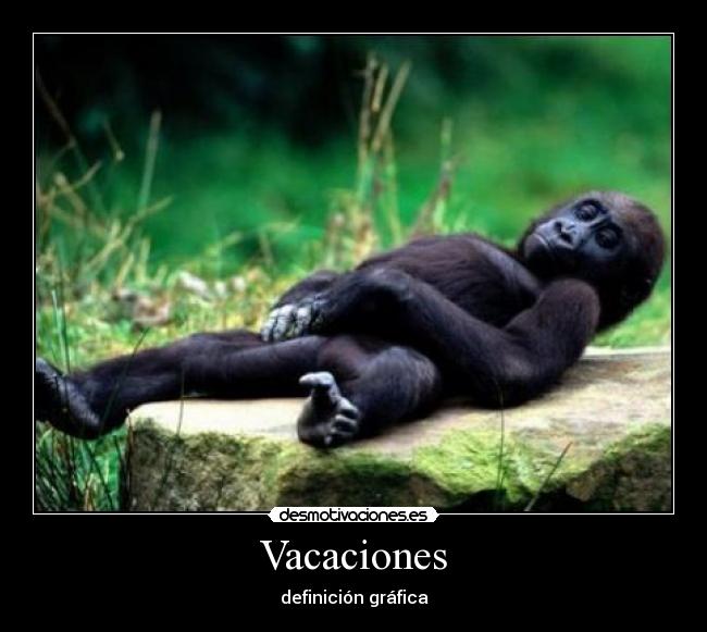 carteles vacaciones desmotivaciones