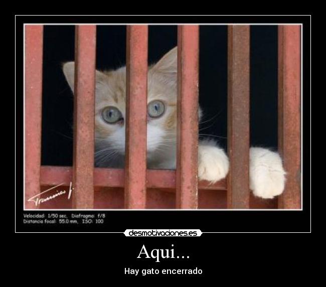 Aqui... -
