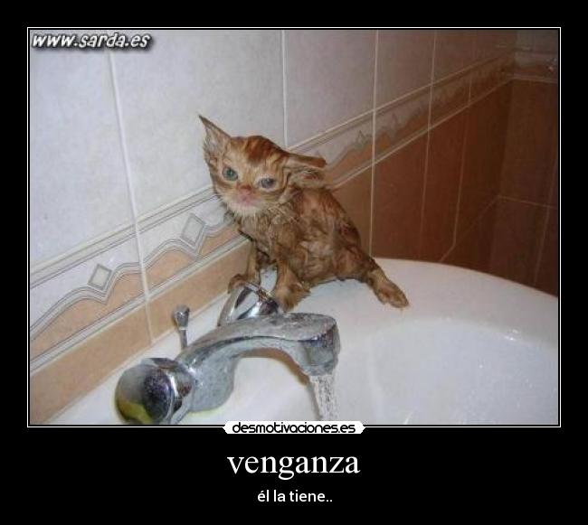 venganza - él la tiene..