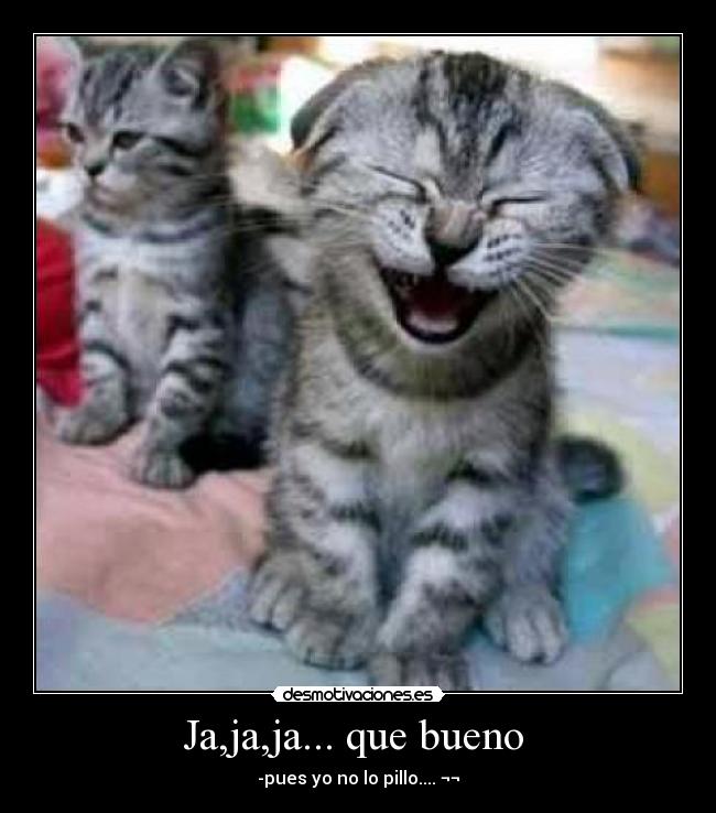Ja,ja,ja... que bueno -