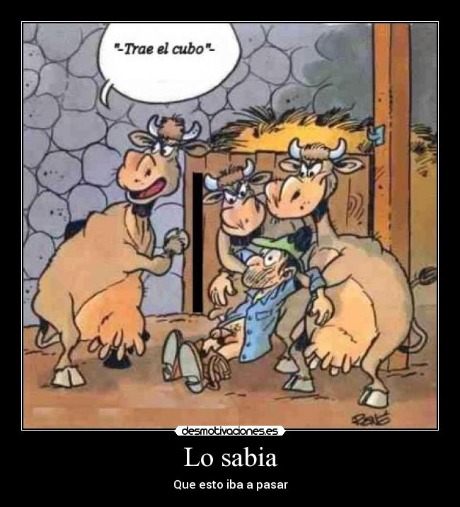 carteles bacas personas desmotivaciones