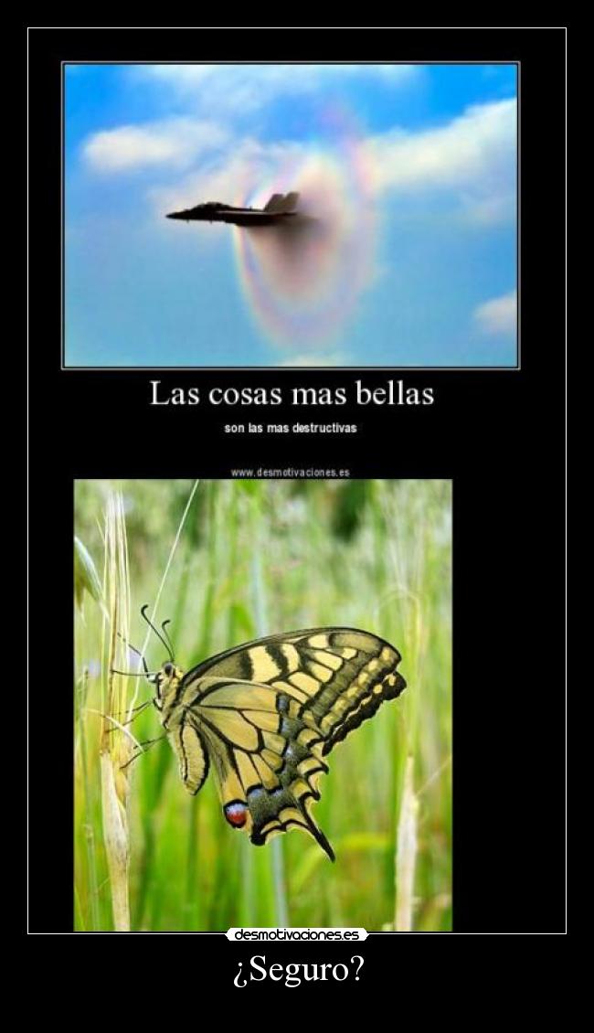 ¿Seguro? -