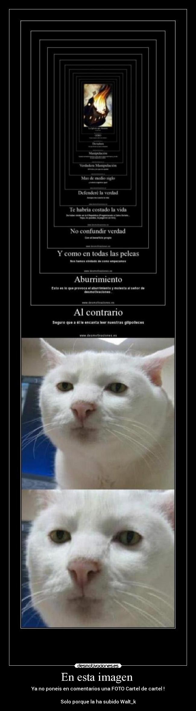 En esta imagen - Ya no poneis en comentarios una FOTO Cartel de cartel !
Solo porque la ha subido Walt_k