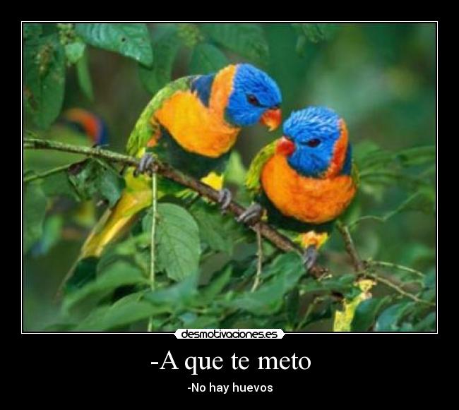 carteles sergy_69 desmotivaciones