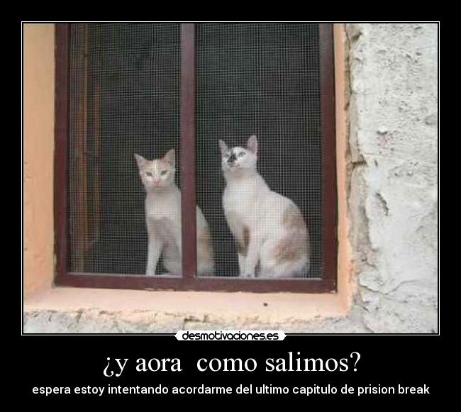 ¿y aora  como salimos? - 