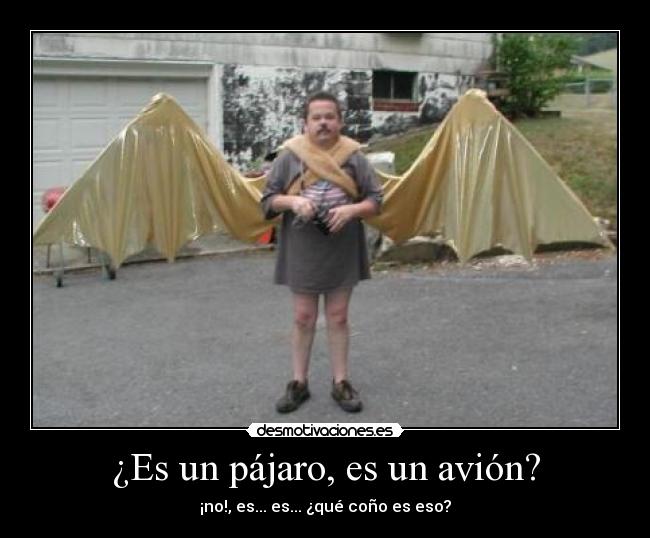 ¿Es un pájaro, es un avión? -