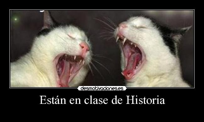 Están en clase de Historia -