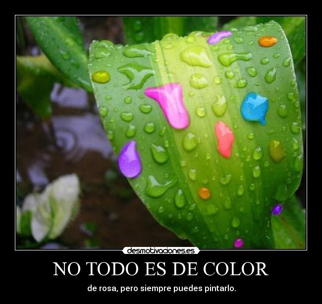 carteles rosa desmotivaciones