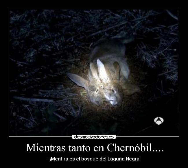 Mientras tanto en Chernóbil.... - -¡Mentira es el bosque del Laguna Negra!