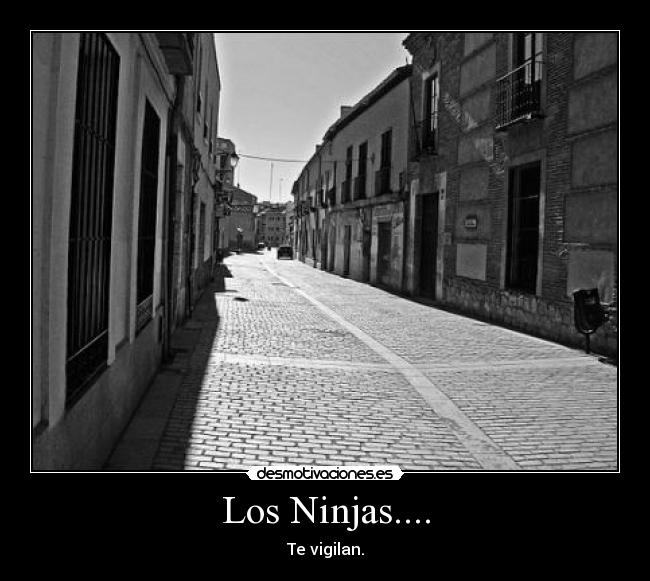 Los Ninjas.... - Te vigilan.