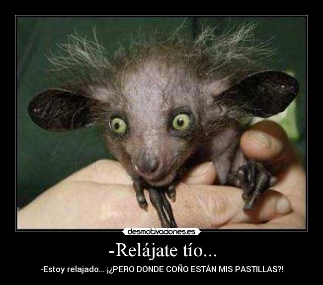 -Relájate tío... -