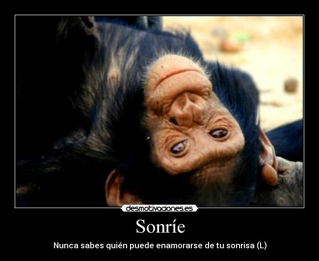 Sonríe - Nunca sabes quién puede enamorarse de tu sonrisa (L)