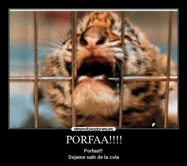 PORFAA!!!! - Porfaa!!! 
Dejame salir de la cola