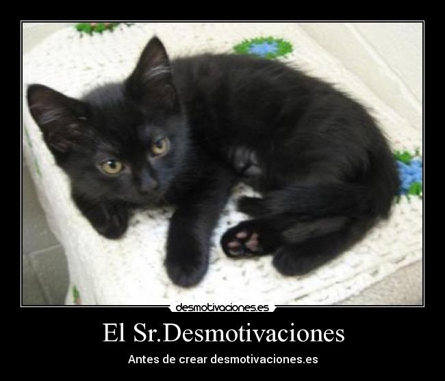 carteles senor desmotivaciones