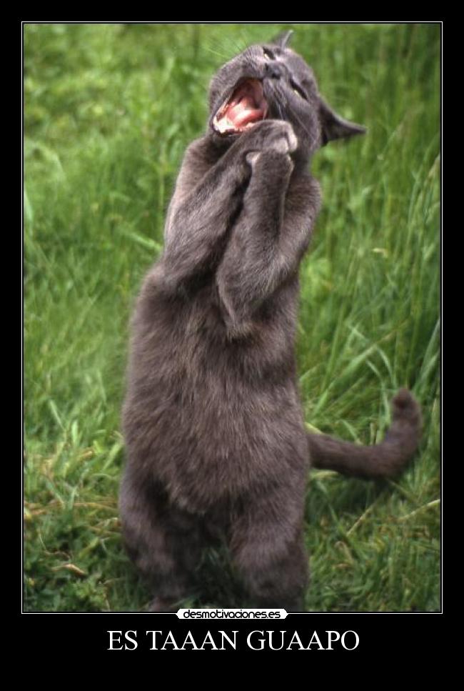 ES TAAAN GUAAPO -