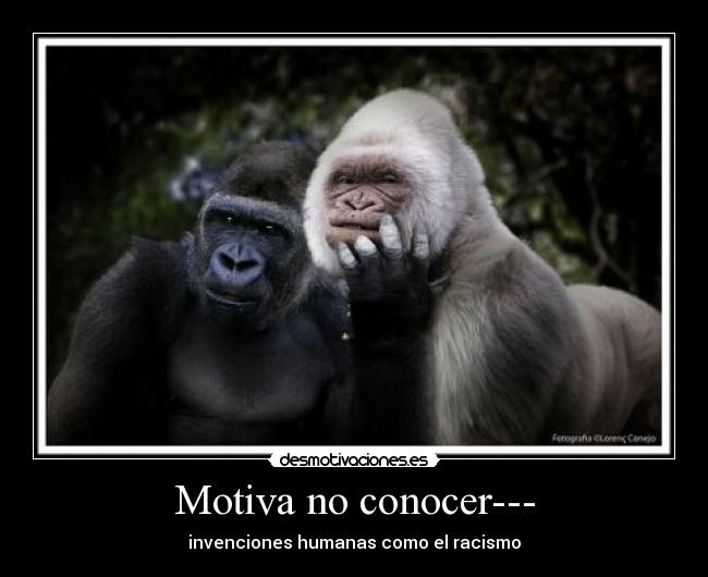 Motiva no conocer--- -