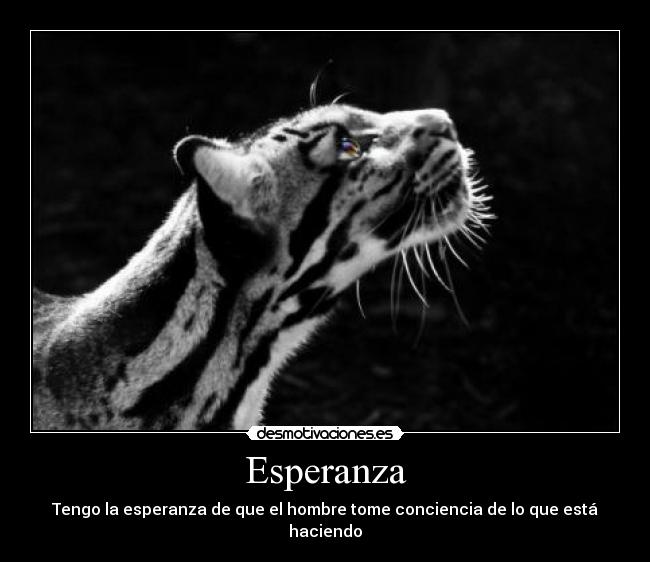 Esperanza - Tengo la esperanza de que el hombre tome conciencia de lo que está haciendo