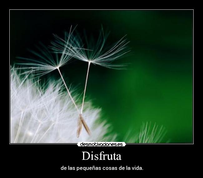 Disfruta - 