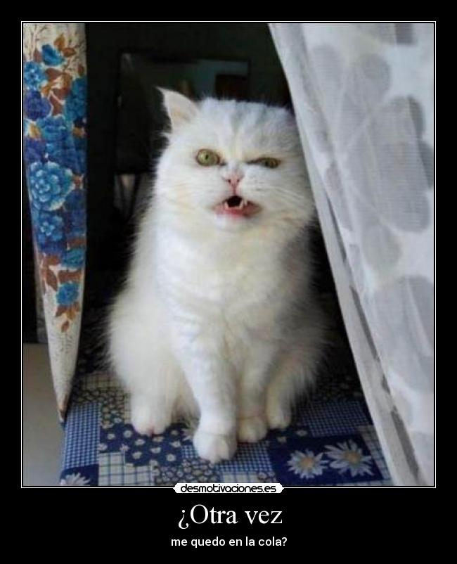 ¿Otra vez - me quedo en la cola?