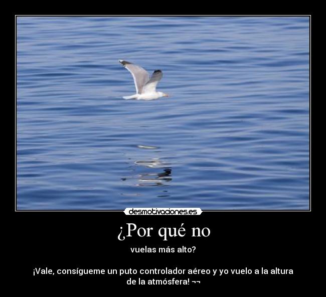 ¿Por qué no - vuelas más alto?
¡Vale, consígueme un puto controlador aéreo y yo vuelo a la altura de la atmósfera! ¬¬