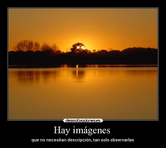 carteles imagenes desmotivaciones