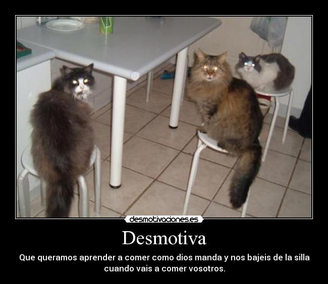 Desmotiva - Que queramos aprender a comer como dios manda y nos bajeis de la silla
cuando vais a comer vosotros.