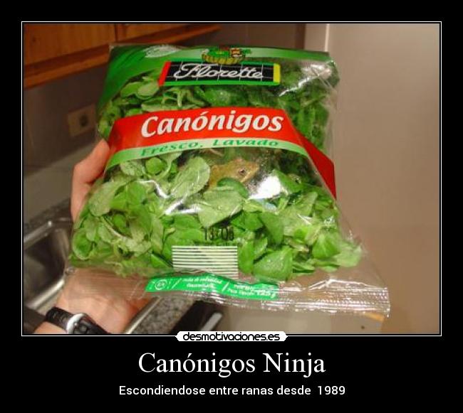Canónigos Ninja - 