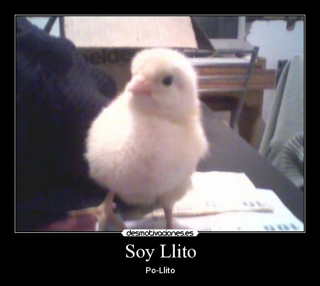 Soy Llito - Po-Llito